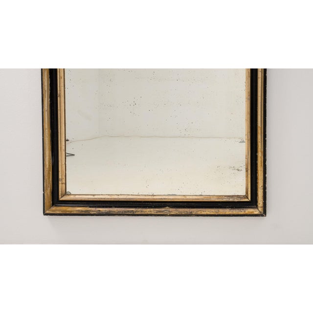 Brown 19th Century France Napoleon III Brown Wood Full-length & Floor Mirrors For Sale - Image 8 of 10