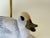 Cream Brass and Resin Duck Table Lamp by Elli Malevolti, Italy, 1970s For Sale - Image 8 of 15