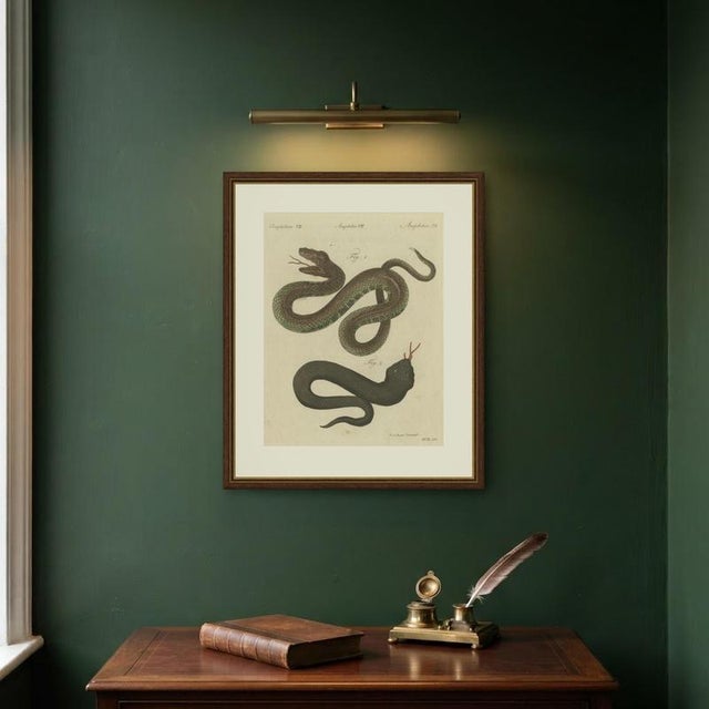 Bertuch, Two Snakes with Open Jaws, 1805, Print For Sale - Image 10 of 12