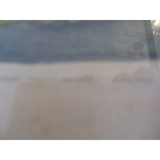 Wood Early 19th Century George Brookshaw (1751-1823) Melon Prints Reproduction - Set of 4 Framed For Sale - Image 7 of 17