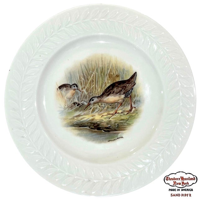 White Vintage Theodore Haviland Porcelain Game Bird Plates by Edwin Megargee - Set of Six For Sale - Image 8 of 14