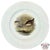 White Vintage Theodore Haviland Porcelain Game Bird Plates by Edwin Megargee - Set of Six For Sale - Image 8 of 14