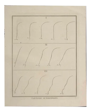 Thomas Holloway - Contours of Foreheads - Original Etching by Thomas Holloway - 1810