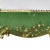 Green Raphael Weill & Co Theo Haviland 24k Gold Green Square Serving Dish For Sale - Image 8 of 11