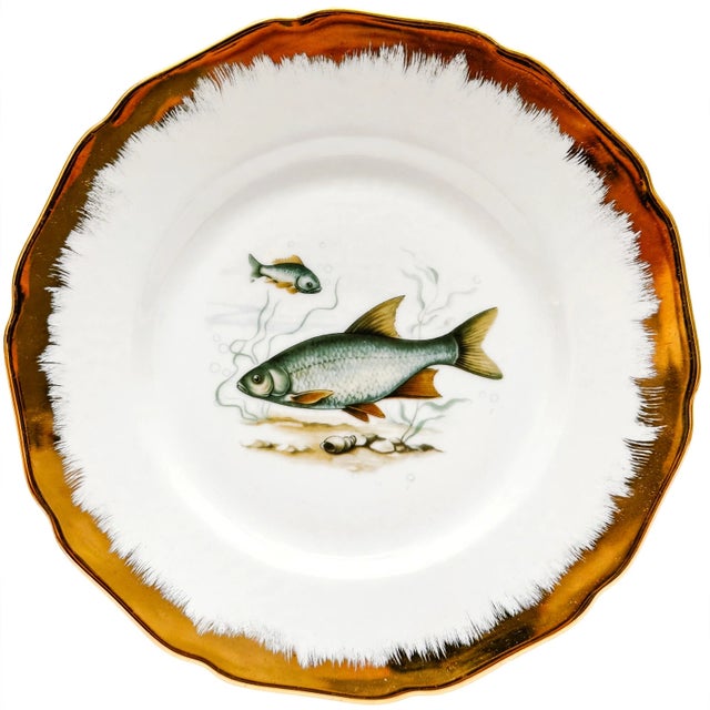Mid-Century Modern Vintage German Porcelain Fish Service Set – 6 Dinner Plates & Large Platter by Hutschenreuther Hohenberg For Sale - Image 3 of 8