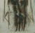 Mid-Century Modern Carlo Mattioli, Nude, Original Drawing, 1958 For Sale - Image 3 of 4