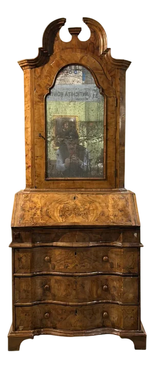 Venetian Louis XV Secretaire in Walnut Burl