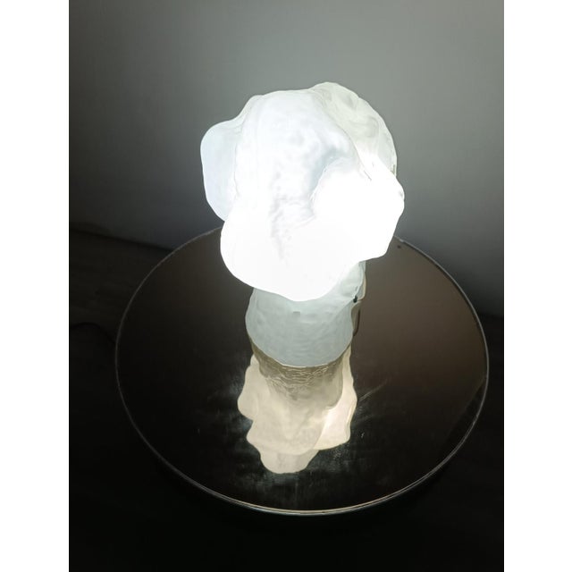 Murano Glass Osso Lamp from Mazzega, 1970s For Sale - Image 12 of 13