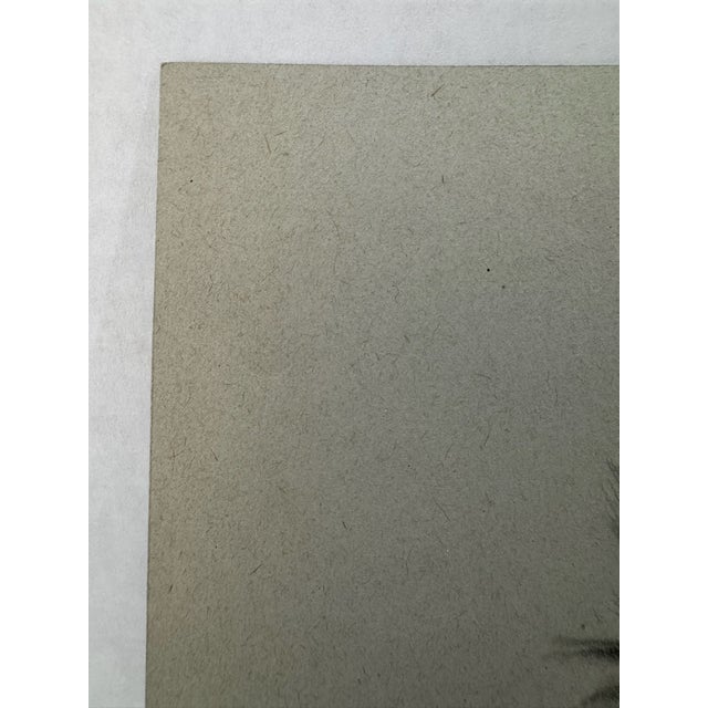 Original Signed Graphite Portrait of Collie Dog, 1949, 11 × 8.25 In. For Sale - Image 4 of 6