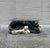 Vintage MCM Resin Crouching Cat/Black Panther Coffee Table For Sale - Image 4 of 9