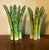 Late 20th Century Patricia Garrett California Art Pottery Botanical Asparagus Form Candle Stick Holders - A Pair For Sale - Image 5 of 9
