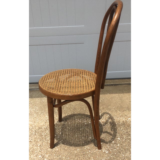 Vintage Bentwood & Cane Chair In The Style of Michael Chairish