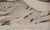 Mid 19th Century Three Gould Hand-Colored Lithographs From Birds of Australia and New Zealand, 1840-1848 For Sale - Image 5 of 12