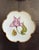 Late 20th Century Set of 8 Hand-Painted Anna Weatherley Bread & Butter Plates 6" From Treasure Garden, Morning Glory, Green Leaf or Old Master Tulips Collection For Sale - Image 5 of 11