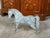 Mid 20th Century French Midcentury Bronze Horse Statue with Raised Hoof and Patina For Sale - Image 5 of 12