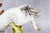 White Hand Painted Vintage German Porcelain Horse Fox Hunting Dog Statue Sculpture For Sale - Image 8 of 18