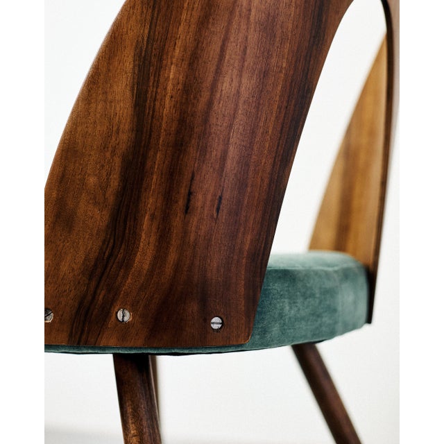 Mid-Century Modern Antonin Suman Chair, 1970s For Sale - Image 3 of 6