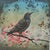 Printmaking Materials Original Lithograph of a Bird and Butterfly by Fiona Watson For Sale - Image 7 of 8
