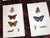 Antique 19th Century Hand Colored Butterfly Lithographs - Set of 12 For Sale In Cincinnati - Image 6 of 12