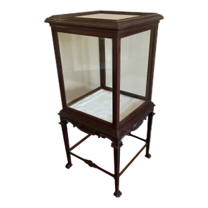 Antique English Collectors Cabinet
