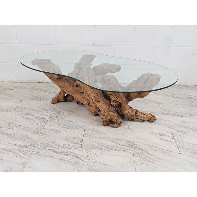 Mid 20th Century Olive Root Driftwood Coffee Table For Sale - Image 4 of 12