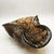 1950s Large Murano Glass Ashtray attributed to Dino Martens, Italy, 1950s For Sale - Image 5 of 13