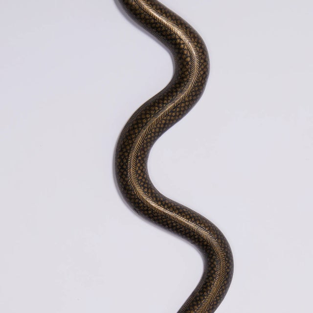 Mid 20th Century Pair of Anglo Indian Cobra Wall Sconces For Sale - Image 5 of 9