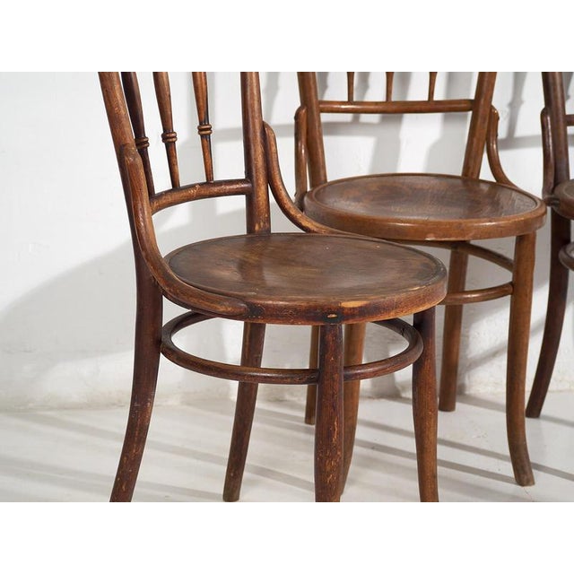 Bentwood Chairs from Thonet, 1920s, Set of 4 For Sale - Image 3 of 17