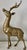 Solid Brass Deers, Pair For Sale - Image 4 of 7