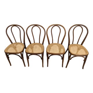 Vintage Dining Chairs with Bentwood Cane Seat, 1970s, Set of 4 For Sale