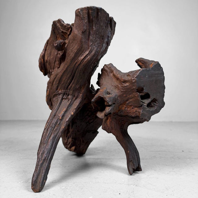 Contemporary Antique Japanese Root Wood Ikebana Display, 1900s For Sale - Image 3 of 12