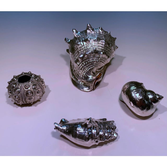 Vintage Shells Dipped in Sterling- Set of 4 For Sale In Los Angeles - Image 6 of 13