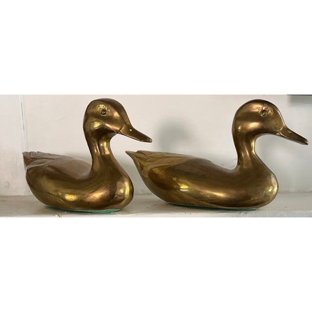 Mid Century Sold Brass Ducks For Sale - Image 4 of 10