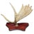 Decorative mounted moose antler on solid wood backing. Minor wear.