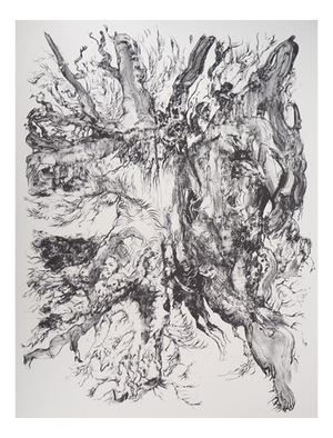 Charley Case, Very Strange Fruits, Hallugraphies, 2005, Original Lithograph