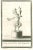 Vincenzo Aloja, Ancient Roman Statue of Satyr, Etching, 18th Century For Sale