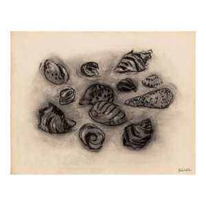 Manfred Schwartz Still Life of Seashells Charcoal