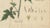 White & Black Mustard, 1831, Paper For Sale - Image 5 of 10