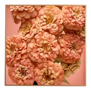 "Zinnias" Contemporary Botanical Limited Edition Photograph, Framed