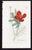 Offered here is an original antique botanical print from the celebrated English Botany series, featuring the distinctive...
