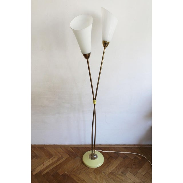 Gold Sculptural Brass and Milk Glass Floor Lamp, Former Czechoslovakia, 1960s For Sale - Image 8 of 15