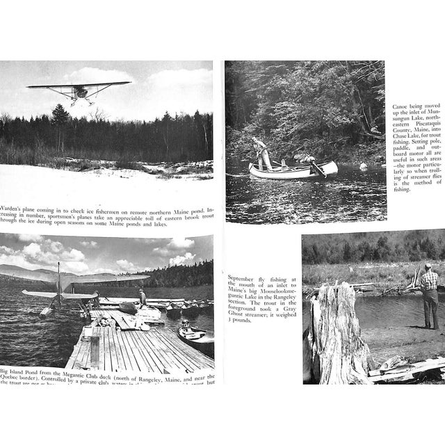 1950s "All About Brook Trout From Maine to California" 1954 Elliot, Bob For Sale - Image 5 of 9