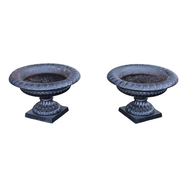 Large Cast Iron Pair Of Garden Urn Planters For Sale