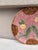 French French Pink Majolica Parakeets Plate Salins, Circa 1890 For Sale - Image 3 of 4