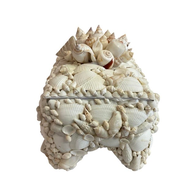 White Footed Lidded Shell Box With Decorative Cluster on Top For Sale - Image 4 of 7