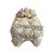 White Footed Lidded Shell Box With Decorative Cluster on Top For Sale - Image 4 of 7
