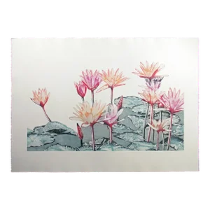 Catherine O'Connor "Oasis II" Signed Numbered Etching of Waterlily Pads
