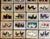 Kramer Authentic Collection of 19th Century Kramer Chicken Chromolithographs in Color For Sale - Image 4 of 9