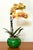 1940s Green Asian Crackle Glaze Vase For Sale - Image 5 of 5