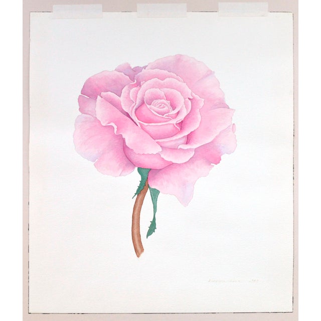Watercolor of a pink rose with a stem on laid paper by Barbara Gibson (20th Century). Presented in a double mat in a...
